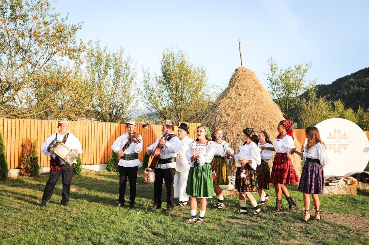 Pensiunea Maramures Guesthouse فيسيو دي جوس المظهر الخارجي الصورة